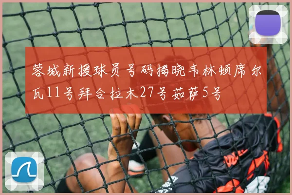 蓉城新援球员号码揭晓韦林顿席尔瓦11号拜合拉木27号茹萨5号