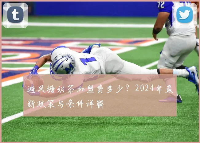 避风塘奶茶加盟费多少？2024年最新政策与条件详解